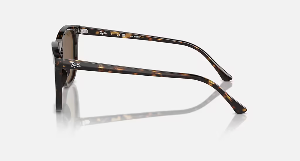 Ray-Ban Sunglasses RB2210-902/57