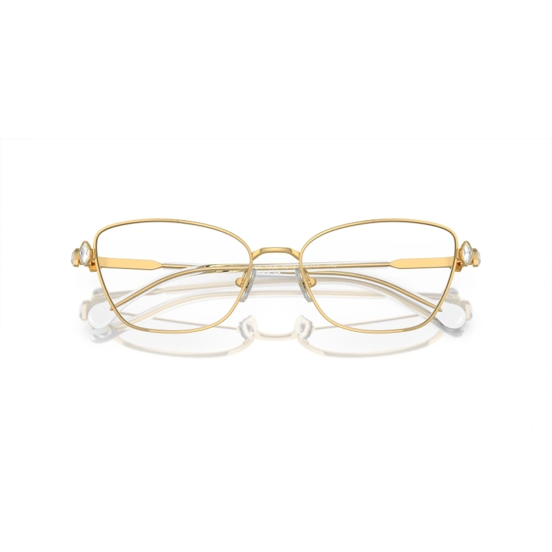 Swarovski Optical frame SK1006-4013