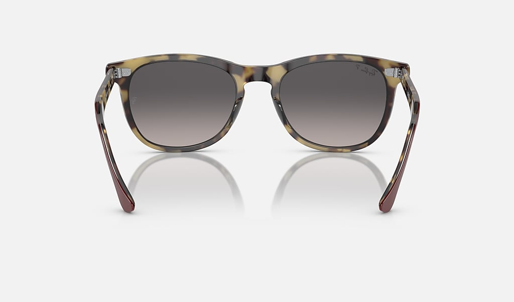 Ray-Ban Sunglasses EAGLEEYE RB2398-1377M3