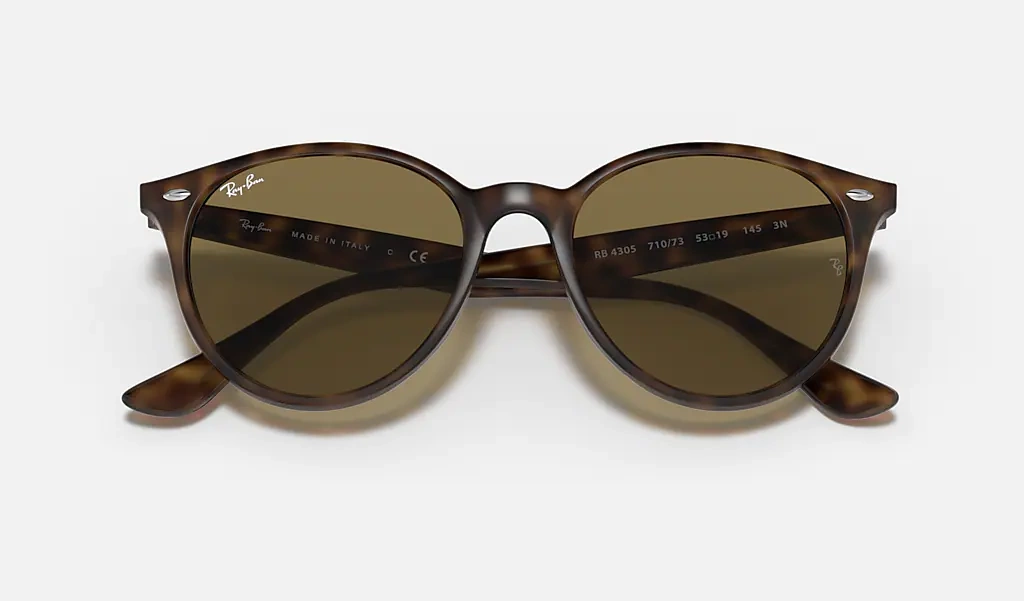 Ray-Ban Sunglasses RB4305-710/73
