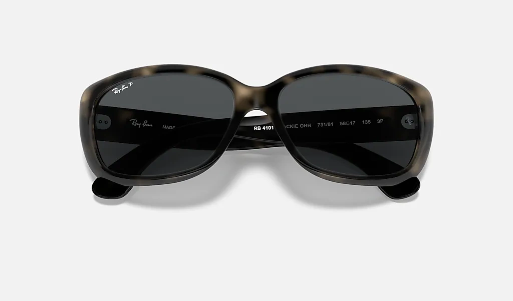 Ray-Ban Sunglasses RB4101-731/81