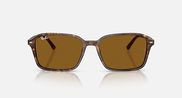 Ray-Ban Sunglasses RAIMOND RB2231-141833