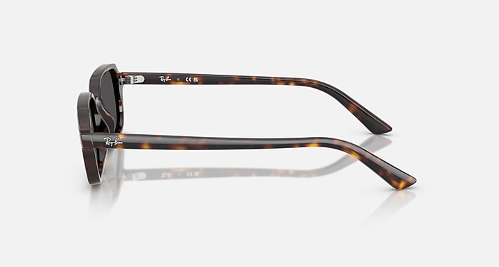 Ray-Ban Sunglasses ZURI RB4455-135987