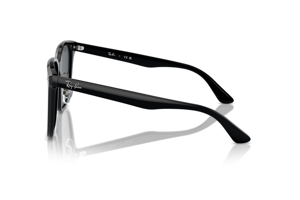 Ray-Ban Sunglasses RB2206D-901/87