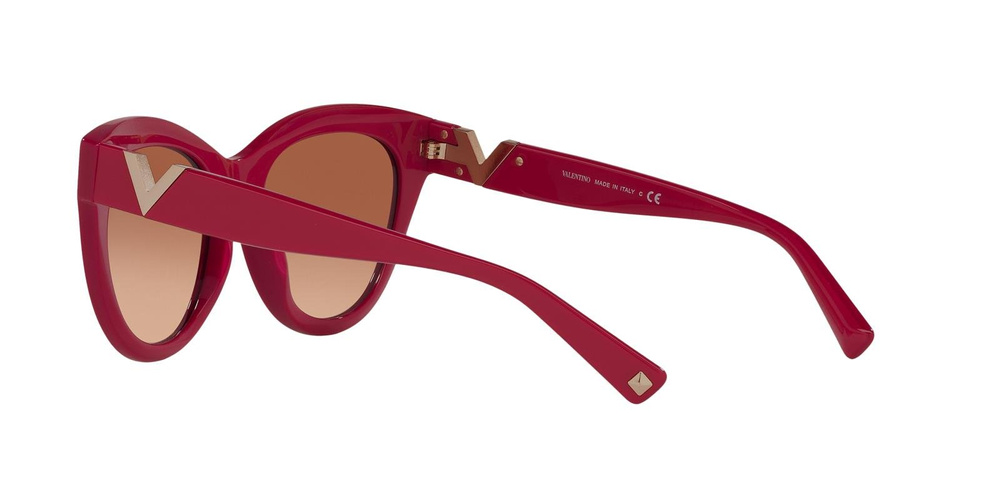 Valentino Sunglasses VA4089-511013