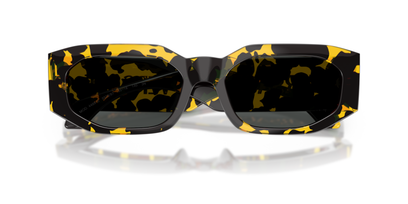 Versace Sunglasses VE4489U-552887