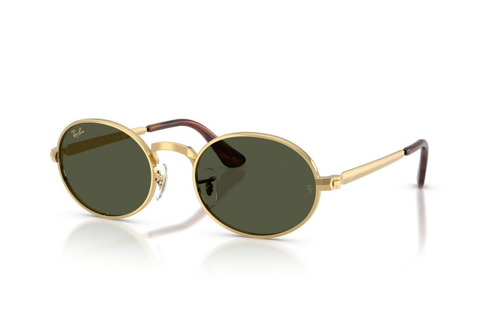 Ray-Ban Sunglasses RB3931-001/31