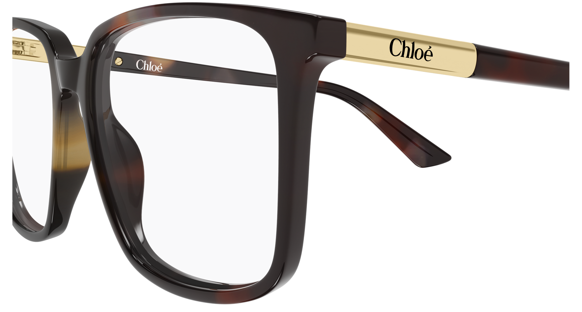 Chloe Optical frame CH0369O-003