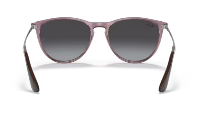 Ray-Ban Sunglasses Junior Erika RJ9060S-710813