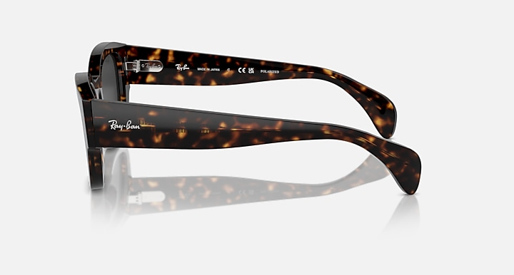 Ray-Ban Sunglasses JORGE RB7681S-902/48