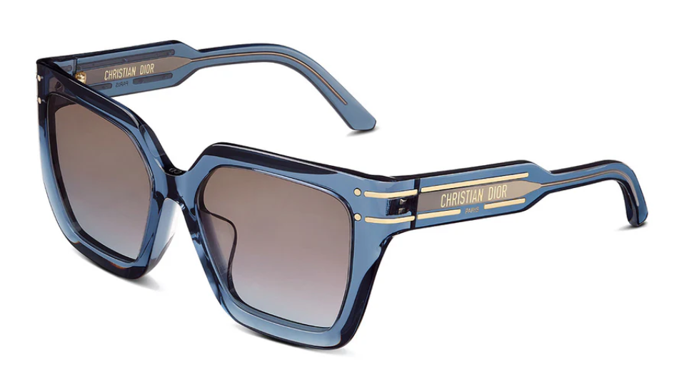 Dior Sunglasses DIORSIGNATURE (S10F_30F2) CD40131F-90T