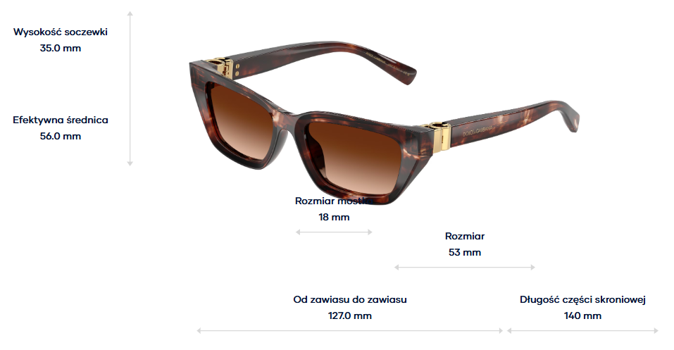 Dolce & Gabbana Sunglasses DG4532-322274
