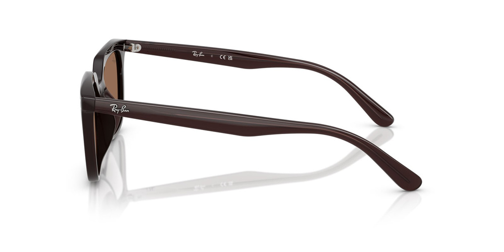 Ray-Ban Okulary przeciwsłoneczne RB4439D-623173