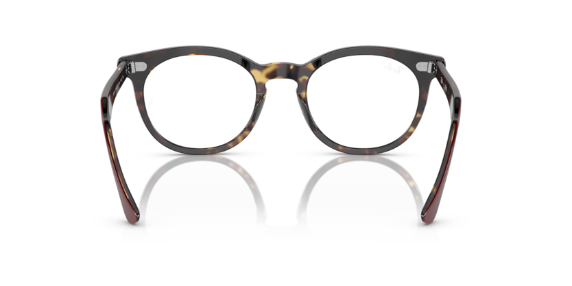 Ray-Ban Optical frame EAGLEEYE RX5598-8250