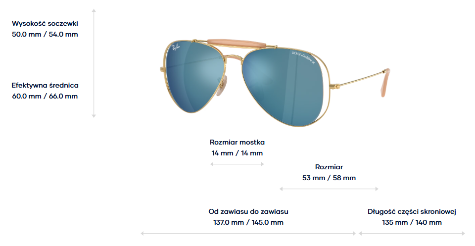 Ray-Ban Sunglasses RB3029M-001/55
