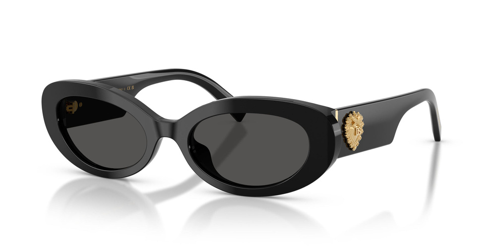 Dolce & Gabbana Sunglasses DG4537-501/87