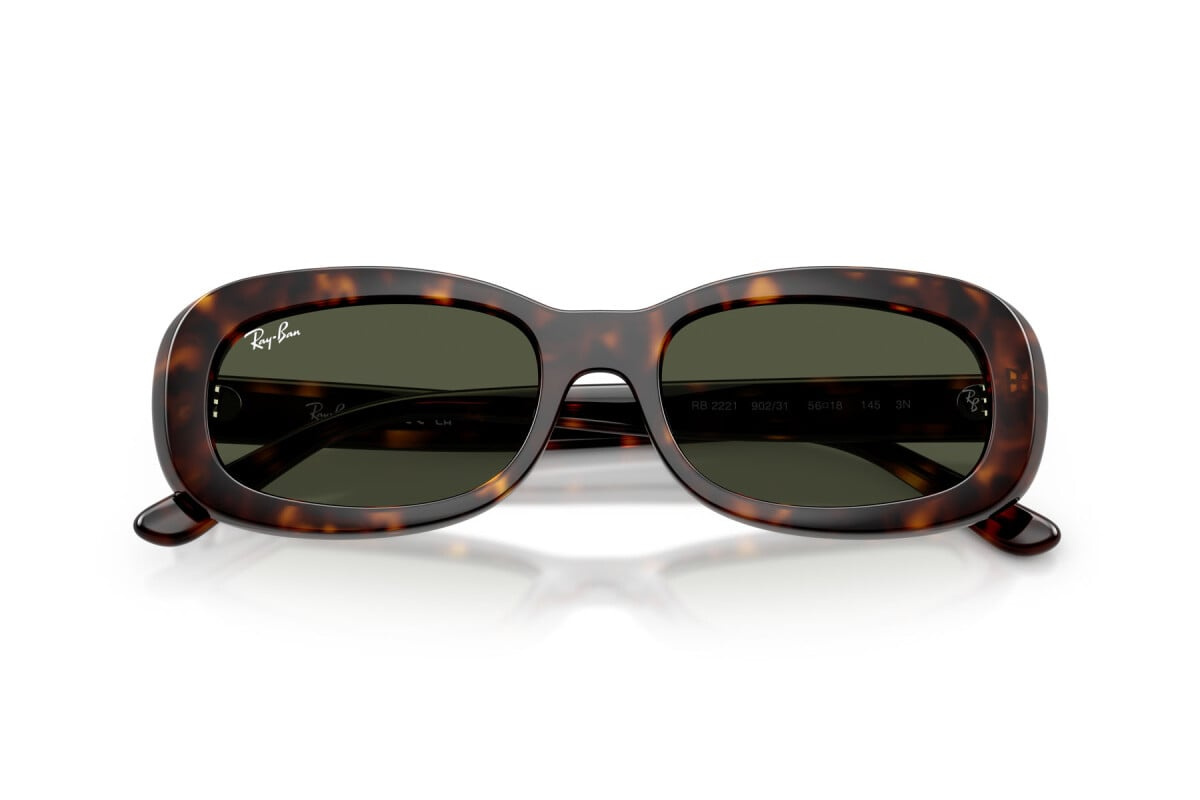 Ray-Ban Sunglasses RB2221-902/31