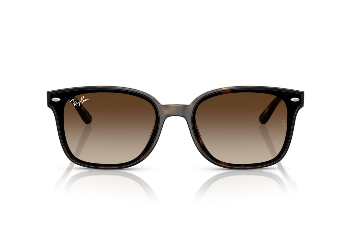 Ray-Ban Sunglasses RB4461D-710/13