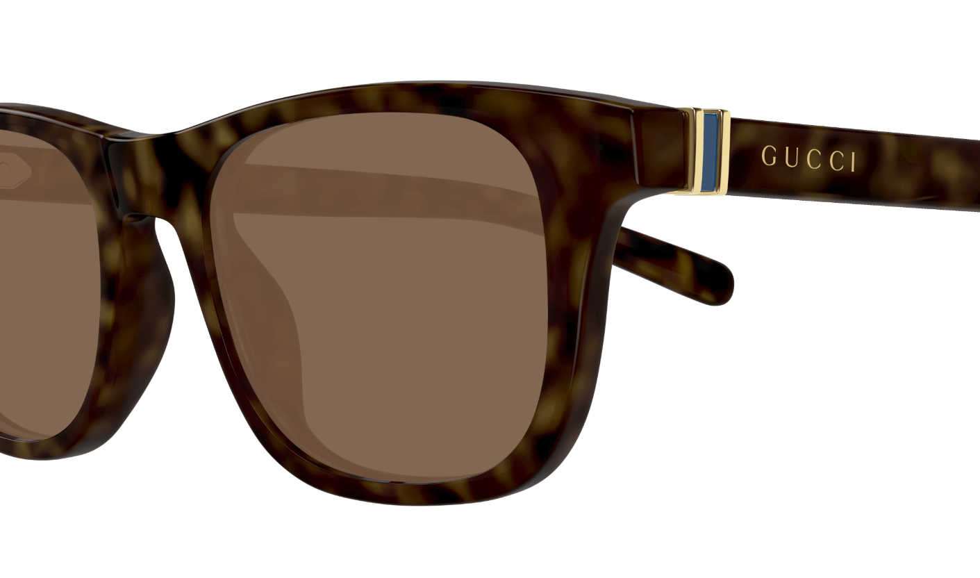 Gucci Sunglasses GG1671S-006