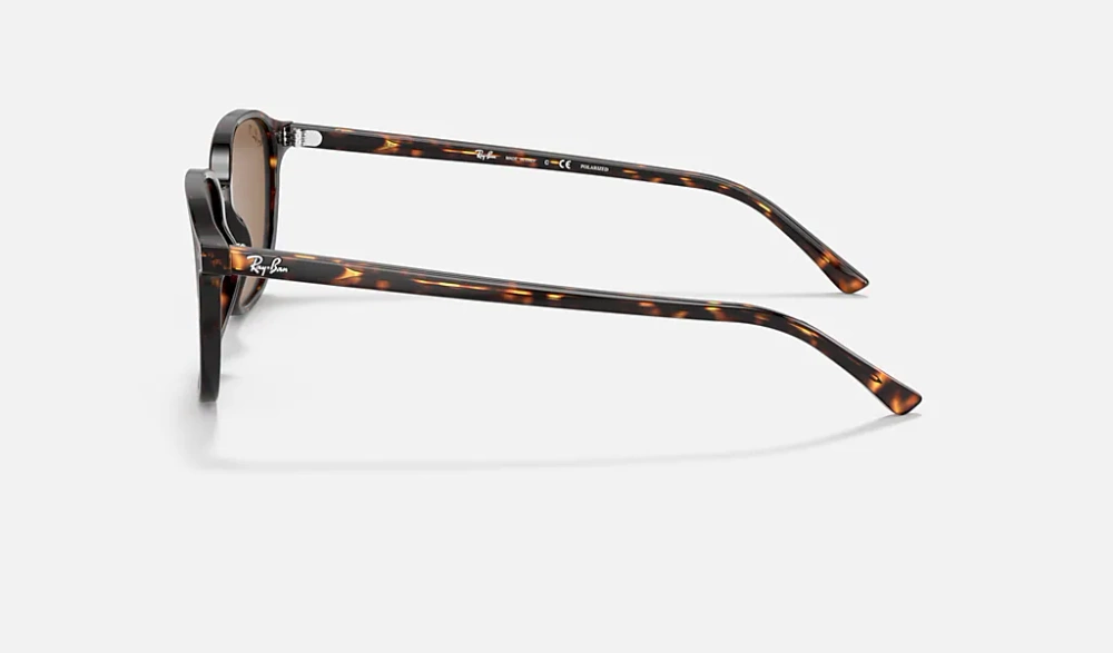 Ray-Ban Sunglasses LEONARD RB2193-902/57