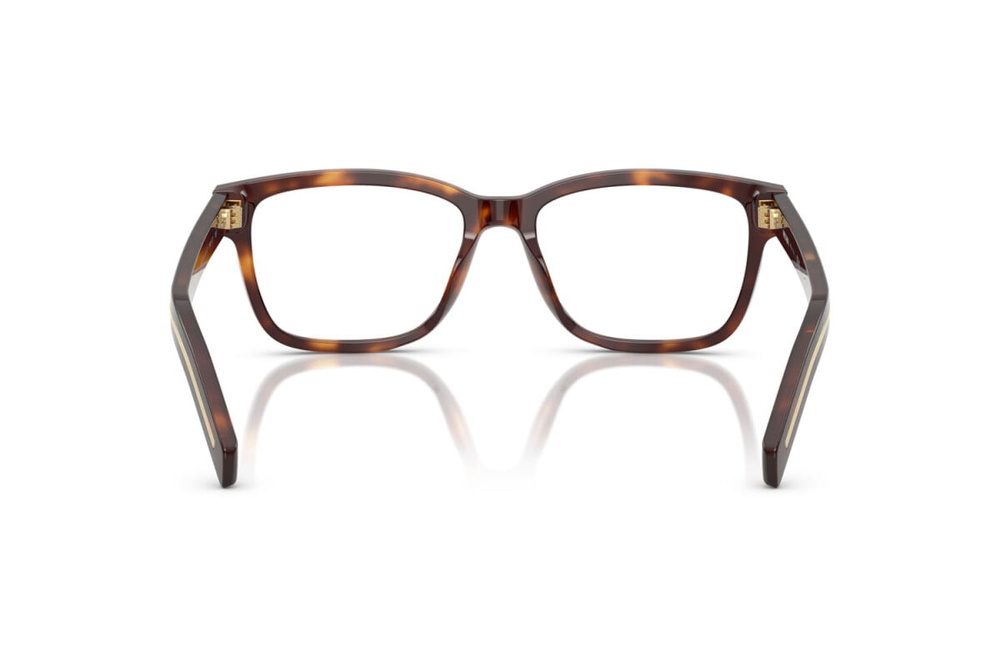 Prada Optical frame PRB10V-15W1O1