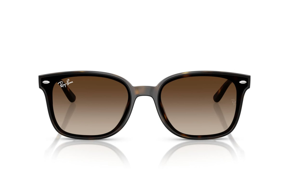 Ray-Ban Okulary przeciwsłoneczne RB4461D-710/13