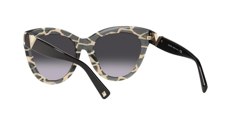 Valentino Sunglasses VA4089-514913