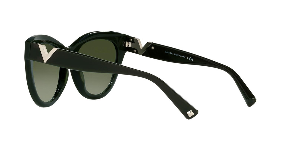 Valentino Sunglasses VA4089-51768E