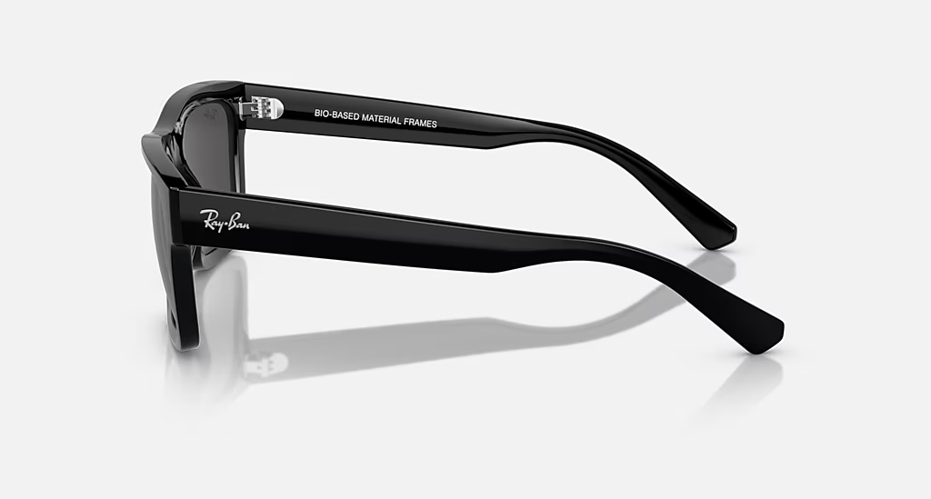 Ray-Ban Sunglasses WARREN RB4396-667787