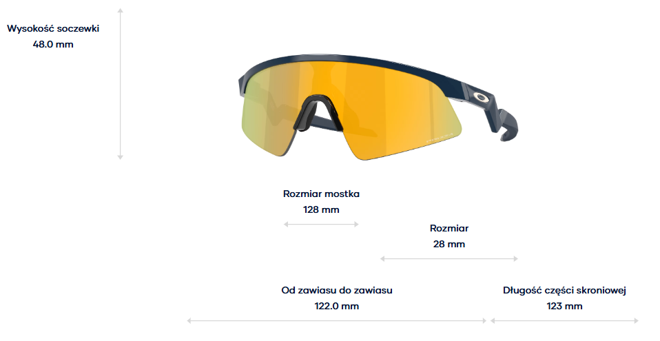 Oakley Okulary przeciwsłoneczne Dziecięce RESISTOR SWEEP Polished Abyss / Prizm 24k OJ9015-05