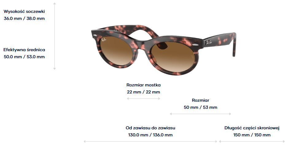 Ray-Ban Sunglasses WAYFARER OVAL RB2242-133451