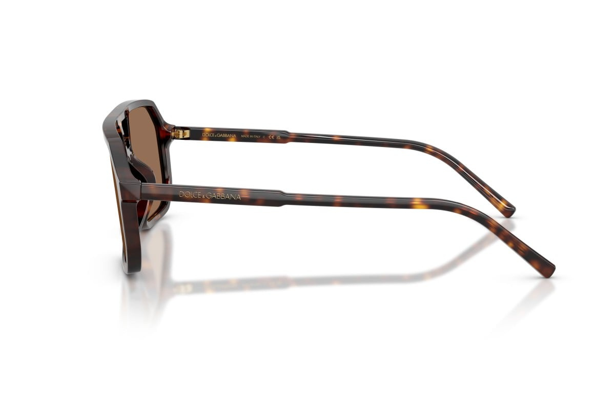 Dolce & Gabbana Sunglasses DG4541-502/73