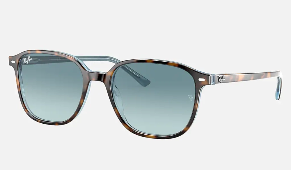 Ray-Ban Sunglasses LEONARD RB2193-13163M