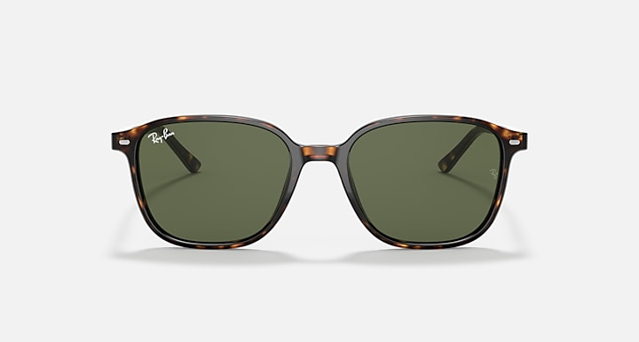 Ray-Ban Sunglasses LEONARD RB2193-902/31