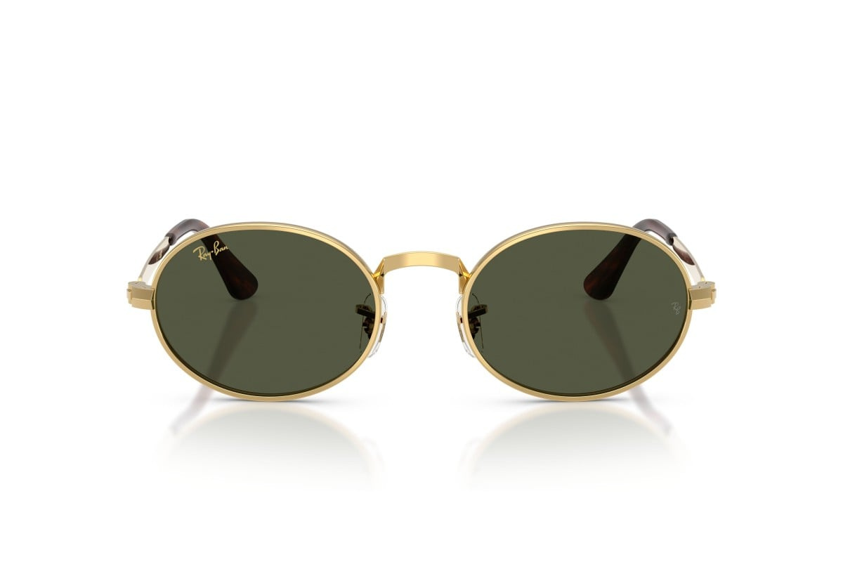 Ray-Ban Sunglasses RB3931-001/31