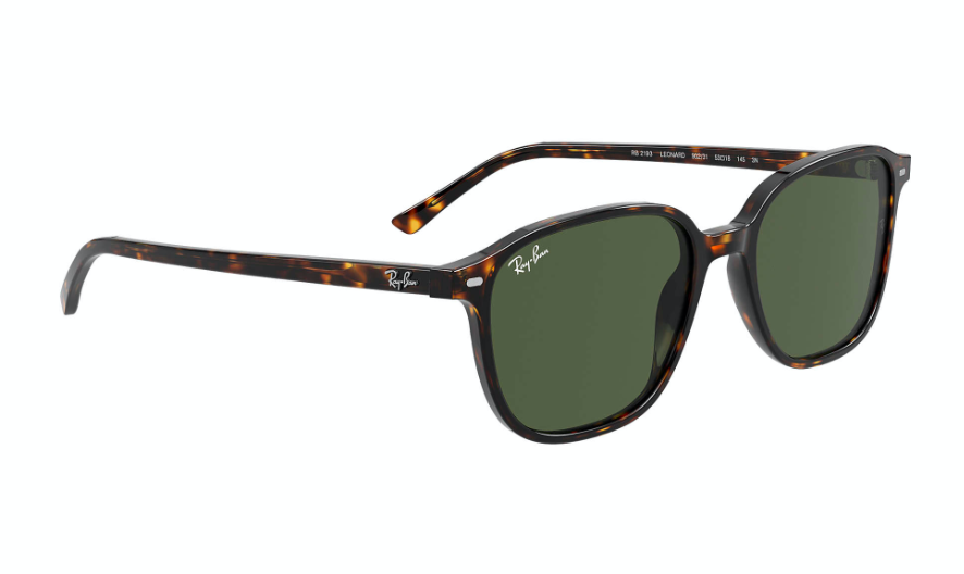 Ray-Ban Sunglasses LEONARD RB2193-902/31