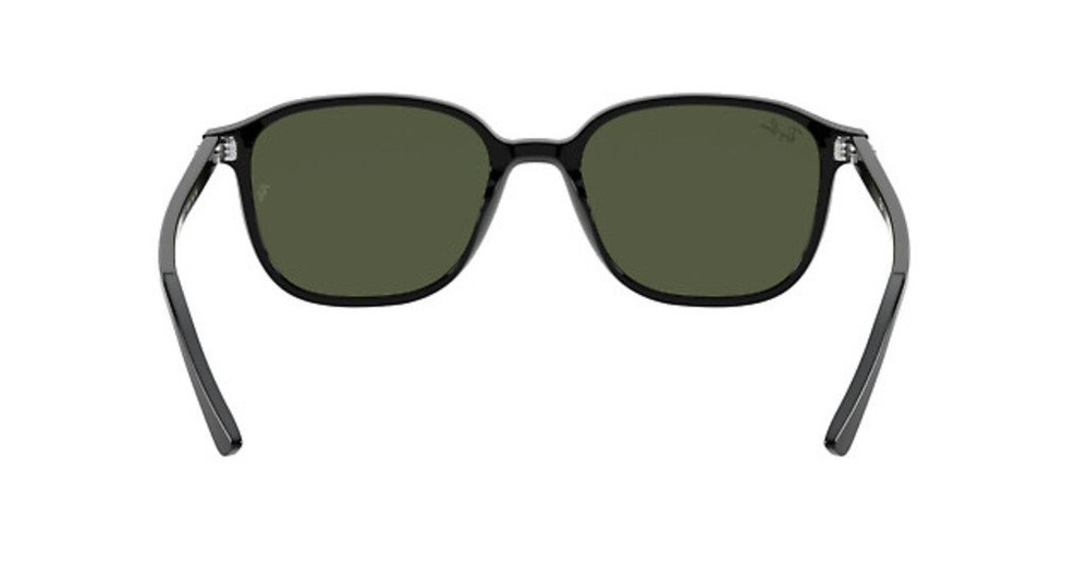 Ray-Ban Sunglasses LEONARD RB2193-901/31