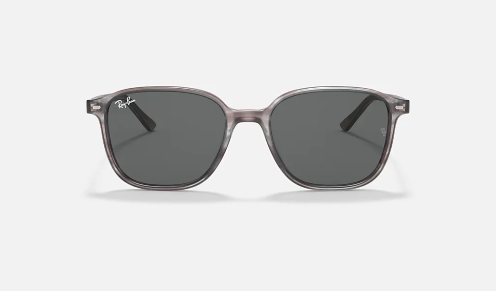 Ray-Ban Okulary przeciwsłoneczne LEONARD RB2193-1314B1
