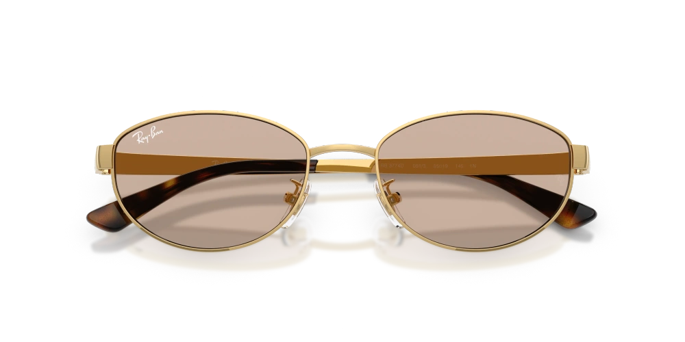 Ray-Ban Sunglasses RB3774D-001/3
