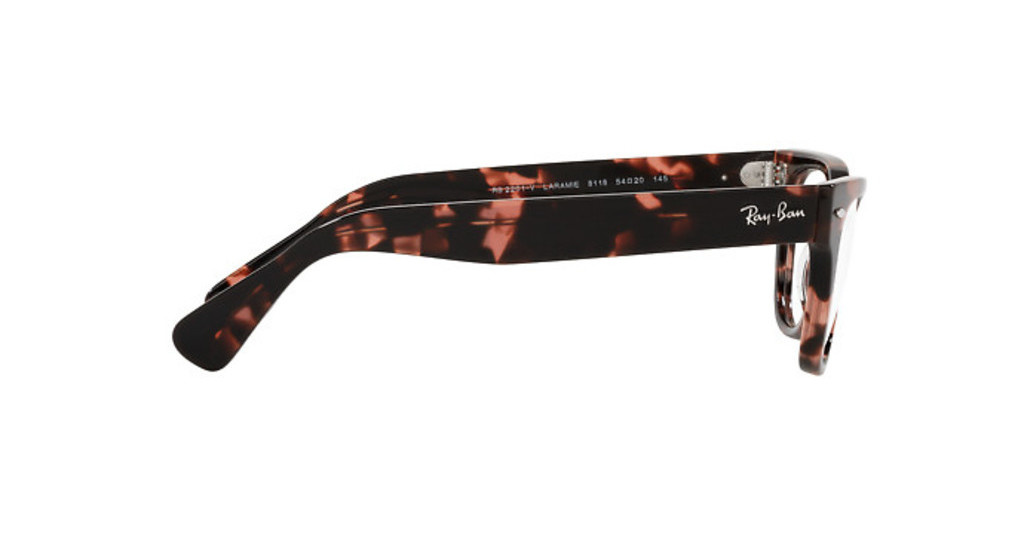 Ray-Ban Opticla frame LARAMIE RX2201V-8118