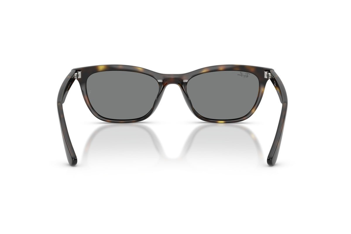 Ray-Ban Sunglasses RB4474D-710/87