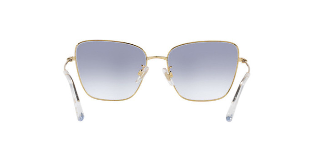 Dolce & Gabbana Sunglasses DG2275-02/79