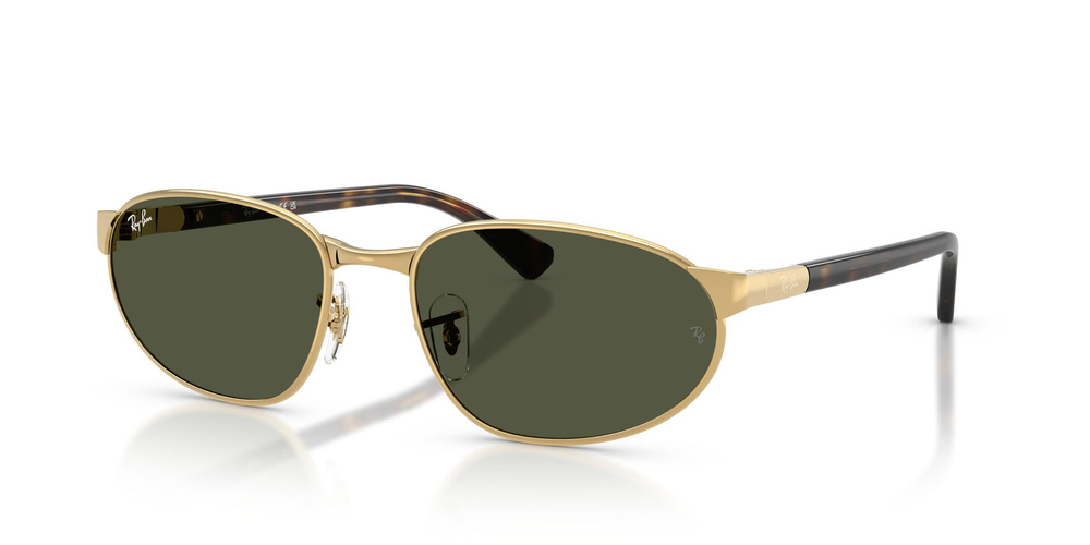 Ray-Ban Sunglasses RB3777-001/31