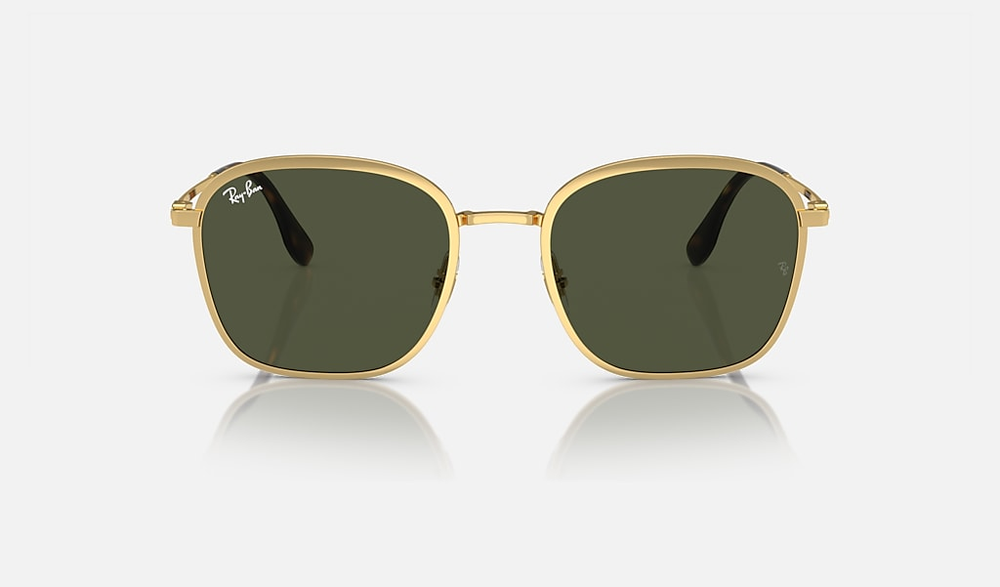 Ray-Ban Sunglasses RB3720-001/31