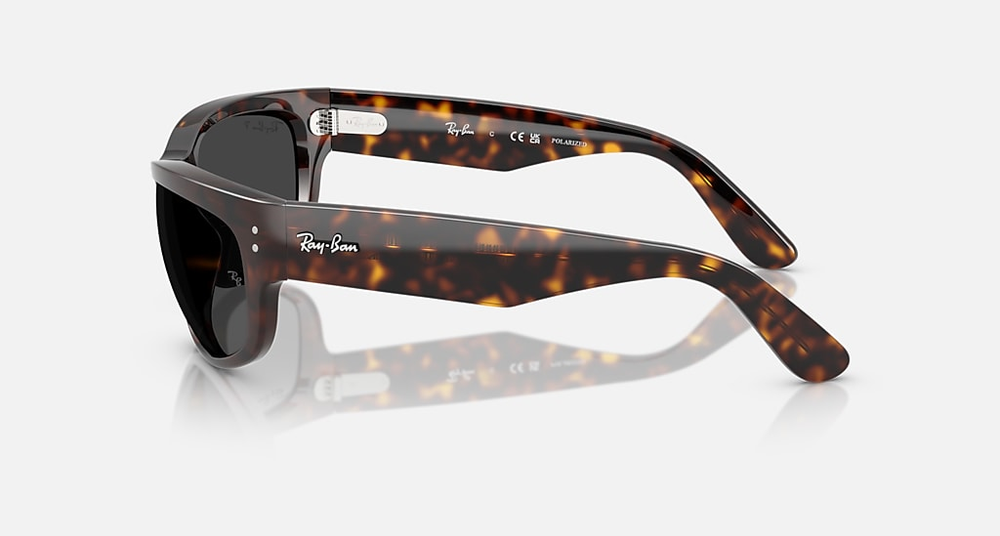 Ray-Ban Sunglasses MEGA BALORAMA RB2289-902/48