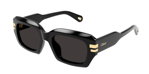 Chloe Sunglasses CH0256S-001