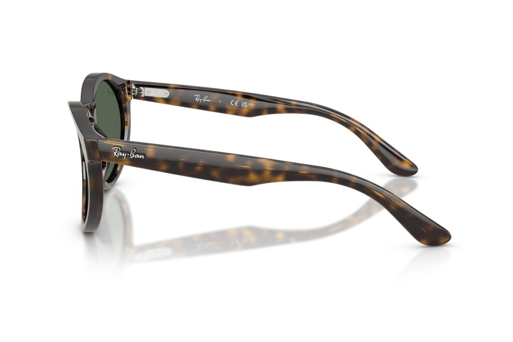 Ray-Ban Sunglasses RBR0505S-6790VR