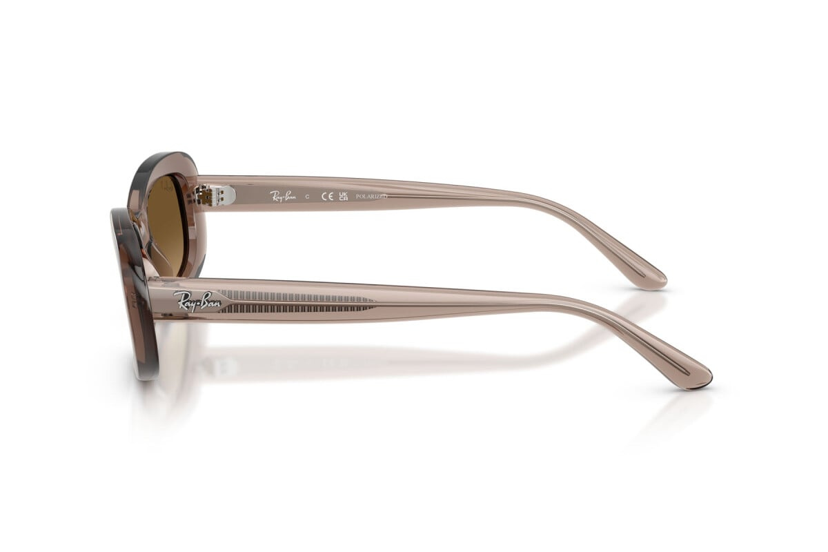 Ray-Ban Sunglasses RB2221-6827M2