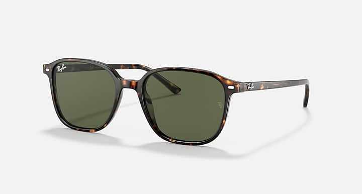 Ray-Ban Sunglasses LEONARD RB2193-902/31