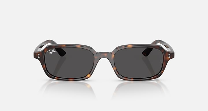 Ray-Ban Sunglasses ZURI RB4455-135987